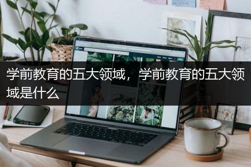 学前教育的五大领域，学前教育的五大领域是什么