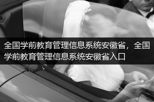 全国学前教育管理信息系统安徽省，全国学前教育管理信息系统安徽省入口